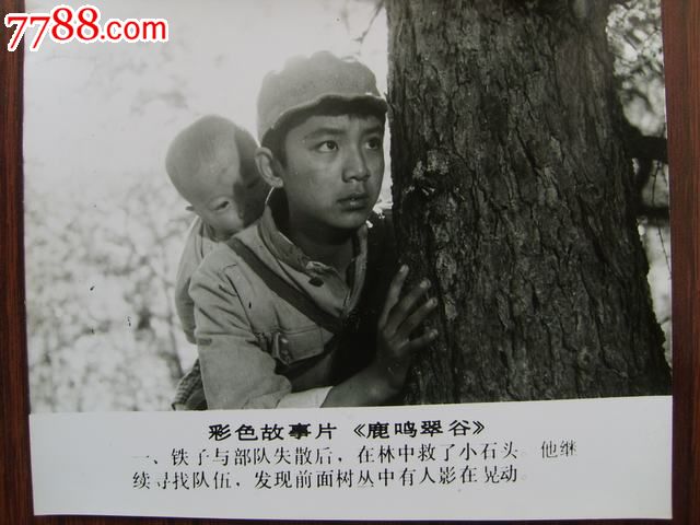 朱激文,韩莉,朱可欣主演的电影《鹿鸣翠谷》剧照8张