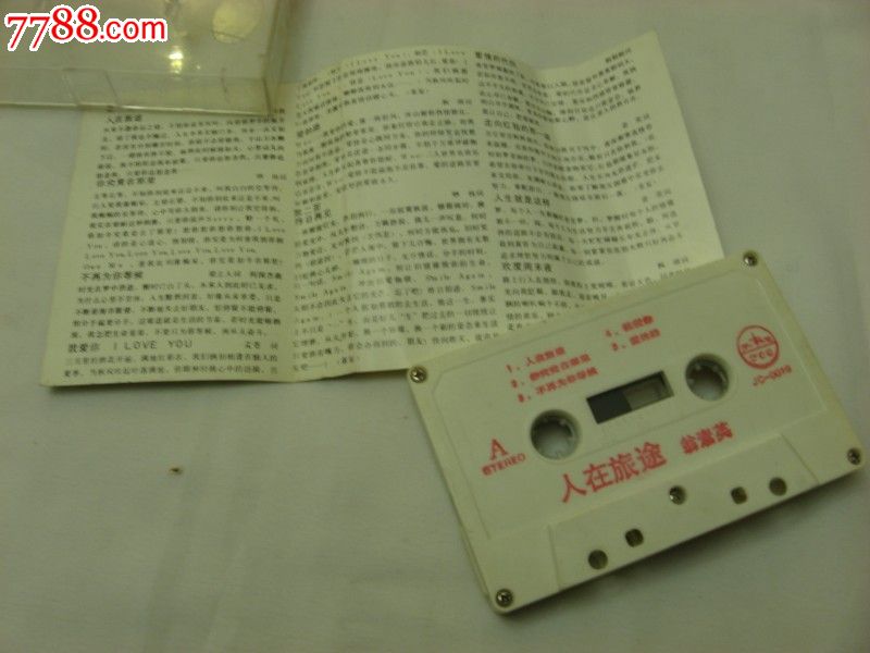 人在旅途-翁素英