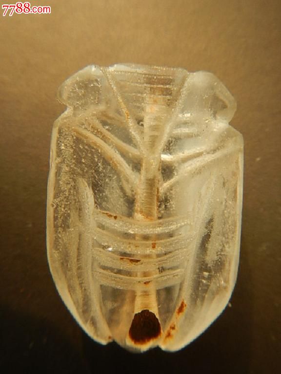 七个古代水晶蝉