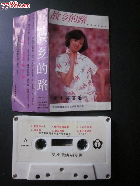 吴小芸故乡的路