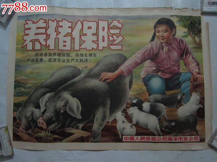 1958年中国人民保险公司南平市支公司宣传画[养猪保险