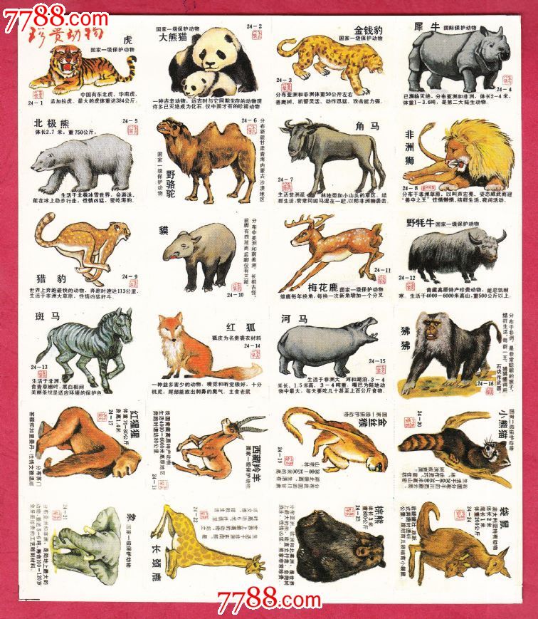 火花1355珍贵动物火花东方贴标24×1