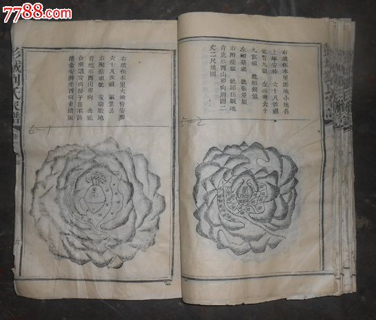 刘氏家谱