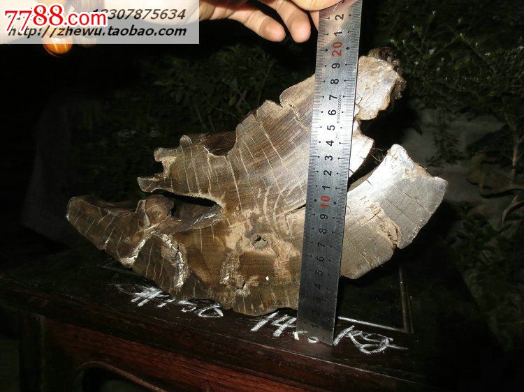 阴沉青冈木天然根艺礼品收藏工艺品乌木古典摆件古玩