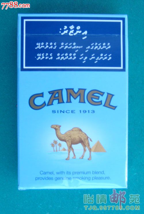 骆驼camelsince1913