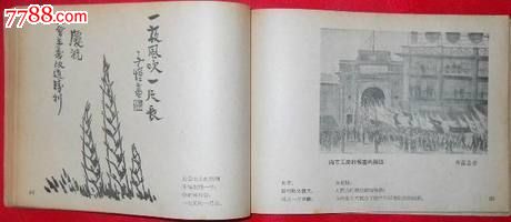 1956年朝化版(庆祝社会主义改造的伟大胜利速写)