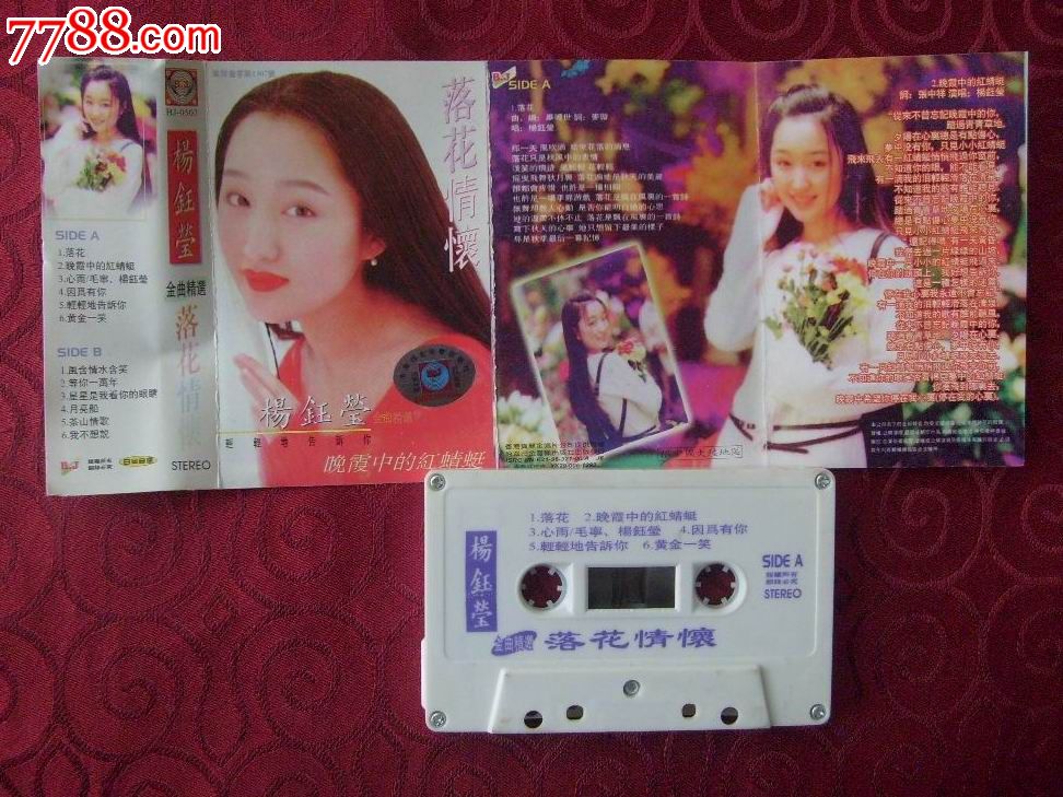 杨钰莹----落花情怀