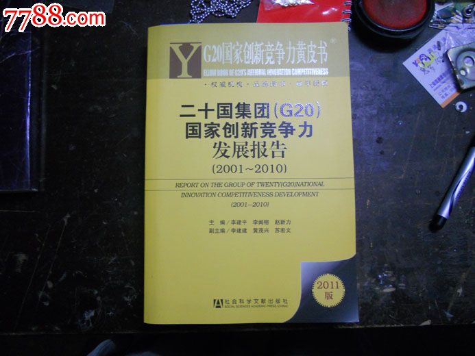 黄皮书