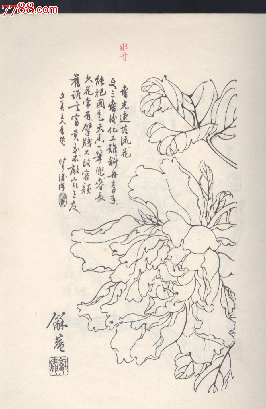 龢庵百花画谱