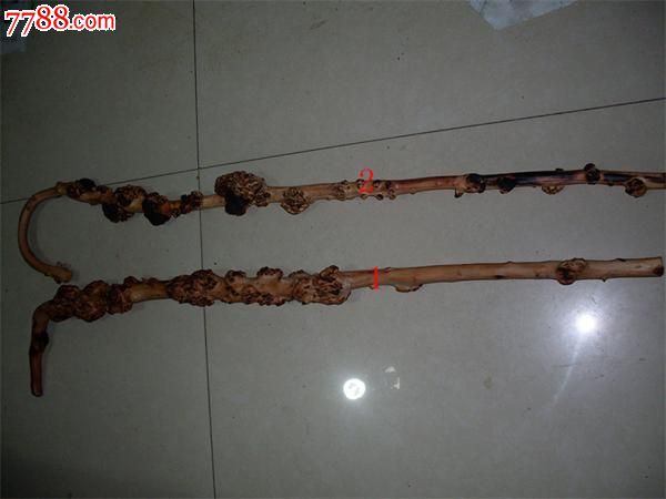 云南黑果树黑果树瘤小石积瘤手杖拐杖天然拐杖树瘤拐杖--精品实用型