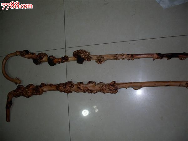 云南黑果树黑果树瘤小石积瘤手杖拐杖天然拐杖树瘤拐杖--精品实用型