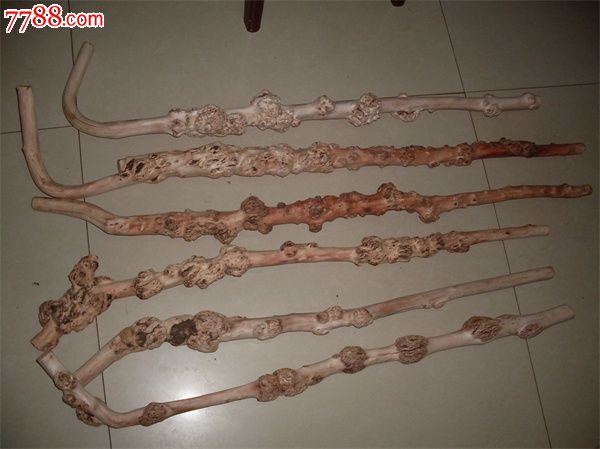 云南黑果树黑果树瘤小石积瘤手杖拐杖天然拐杖树瘤拐杖经典粗壮型