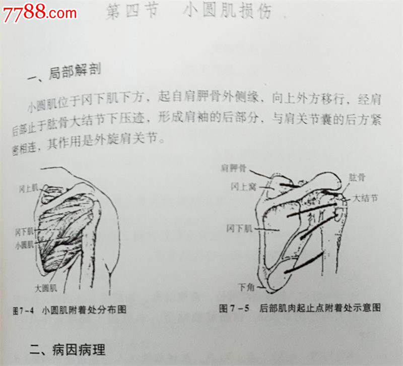 全新正版超微针刀疗法第2版:运动医学的浅筋膜松解术胡超伟著68元