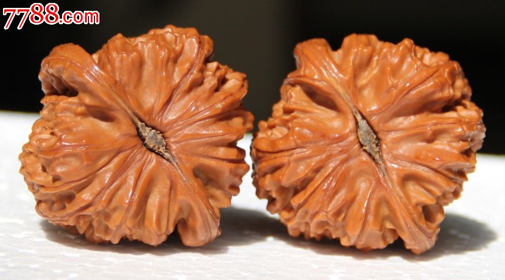 文玩核桃白狮子头一对41+-se23352788-核桃雕-零售-7788收藏__中国收藏热线