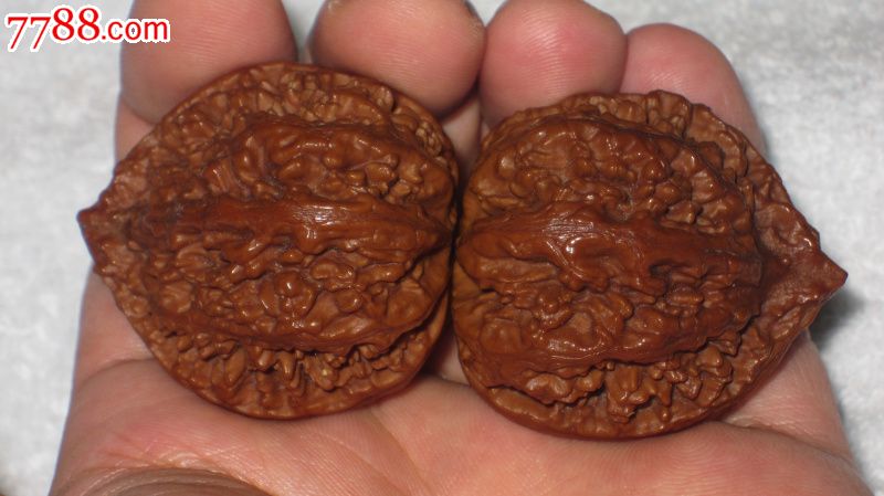 正宗矮桩吉林老树蚂蚁纹39mm秋子