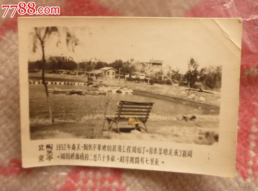 北京陶然亭-价格:5.0000元-se23394531-老照片-零售
