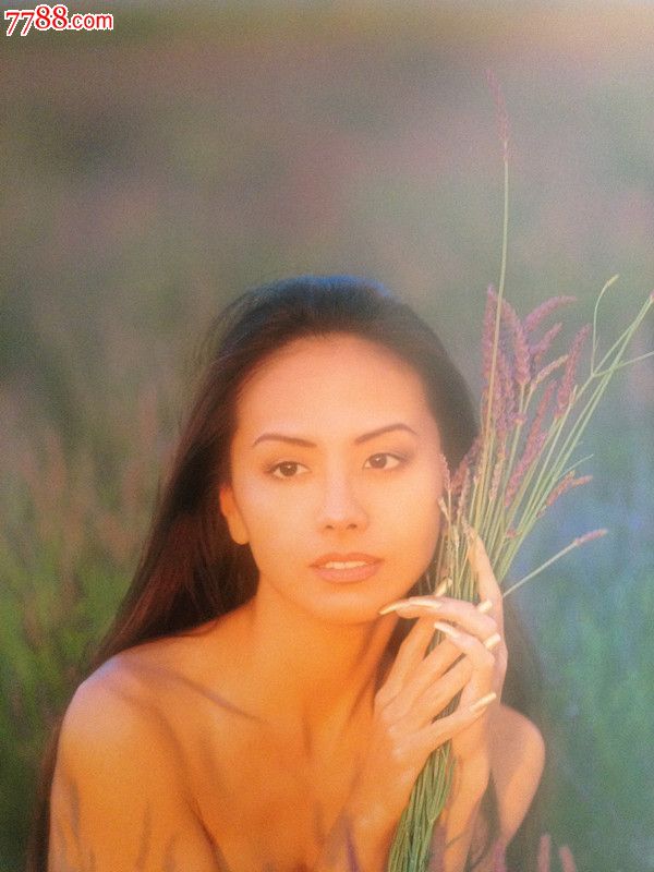 田丽写真集普罗旺斯的精灵,明星\/人体写真集,娱