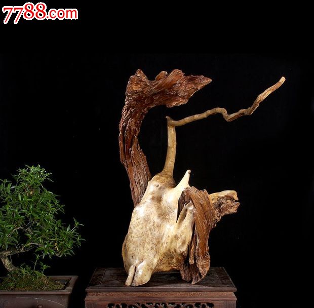 宜居品阁木雕根雕根艺摆件自然件香楠木枯木蓬春ywd808