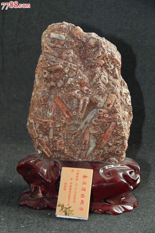 南水北调水源地汉江寒武纪原生态化石