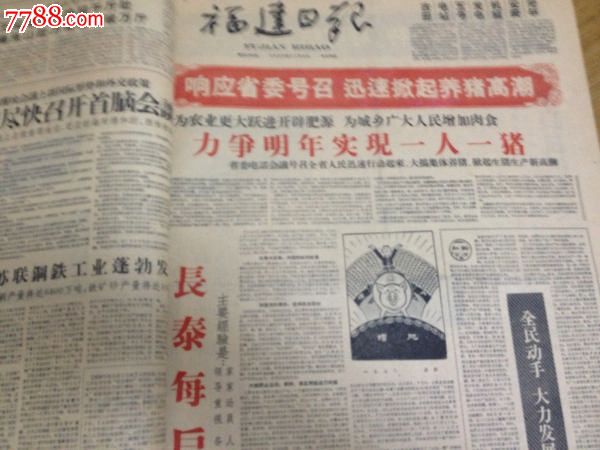 福建日报1959全年合订,大跃进.-se23644463-报纸-零售