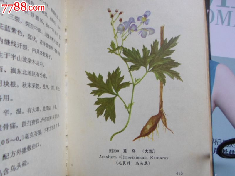 云南中草药选