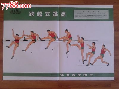 《体育教学图片-调高》-价格:10元-se23842829-教学挂图-零售-7788