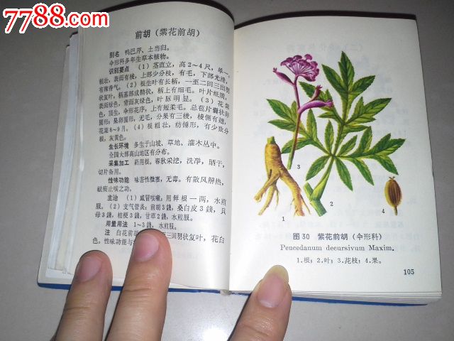 【北方常用中草药手册】有上百幅黑白彩色图片.a-2