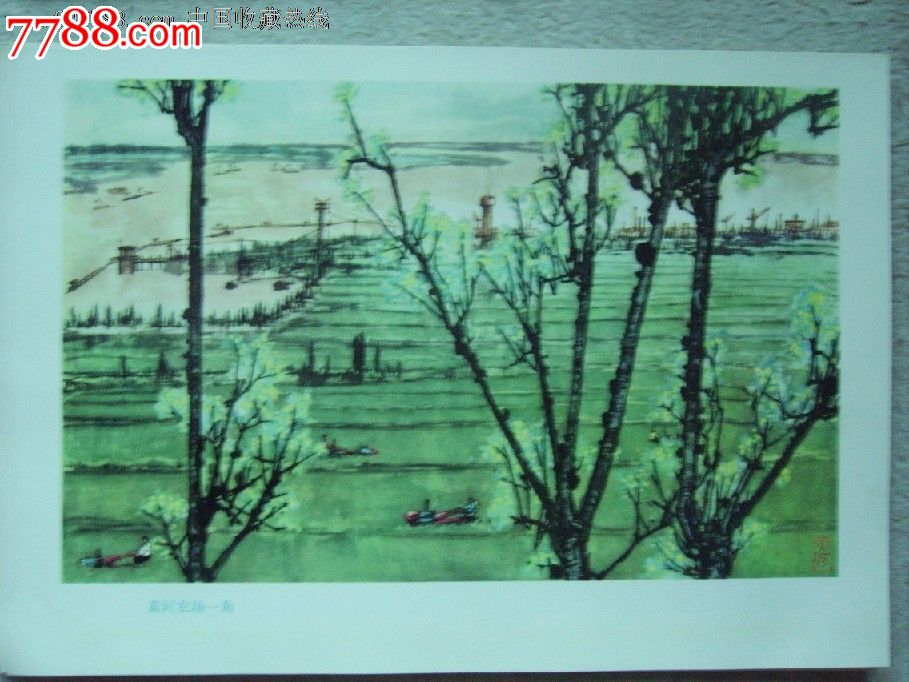 黄河农场一角