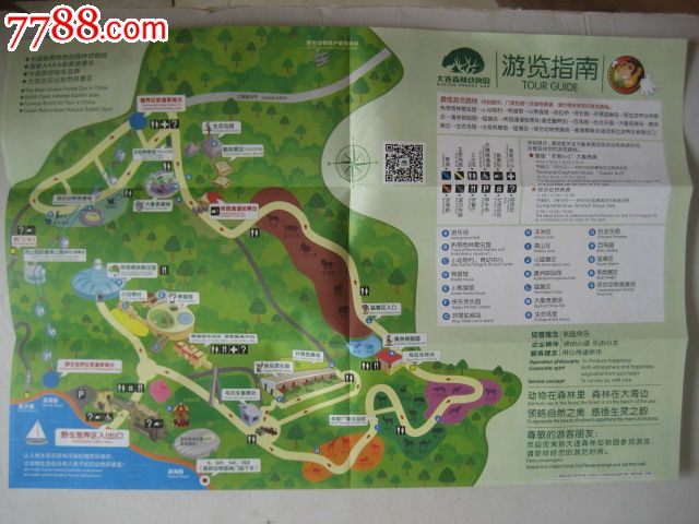 大连森林动物园(游览指南)