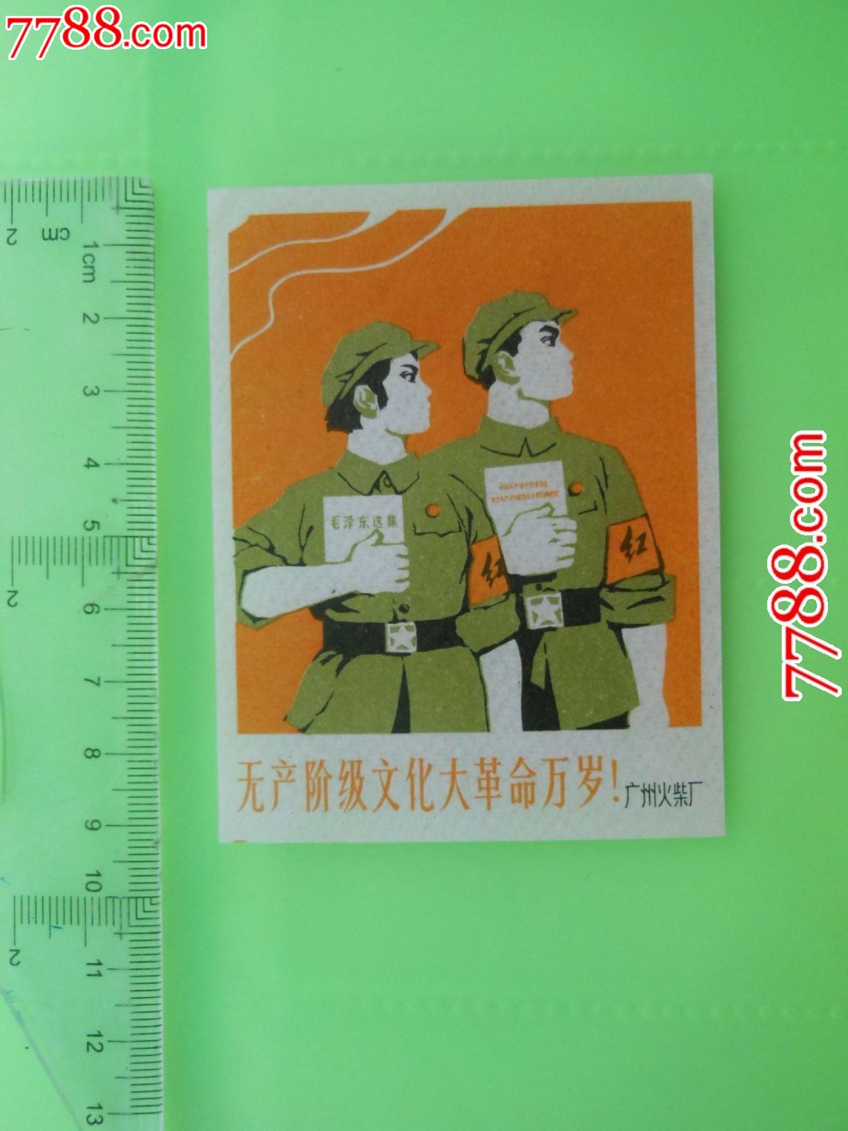 无产阶级文化大革命万岁