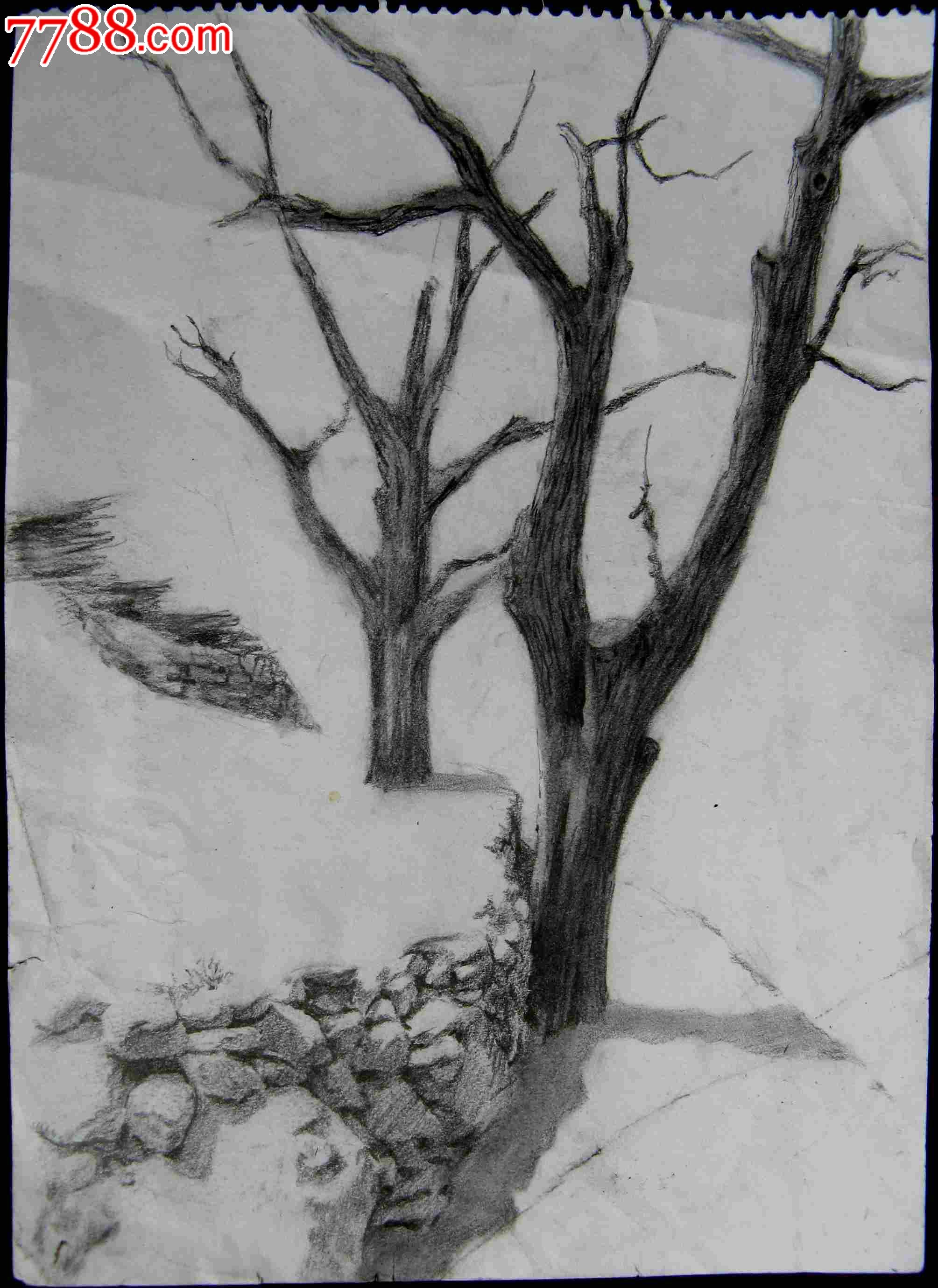 铅笔素描画:村边枯树
