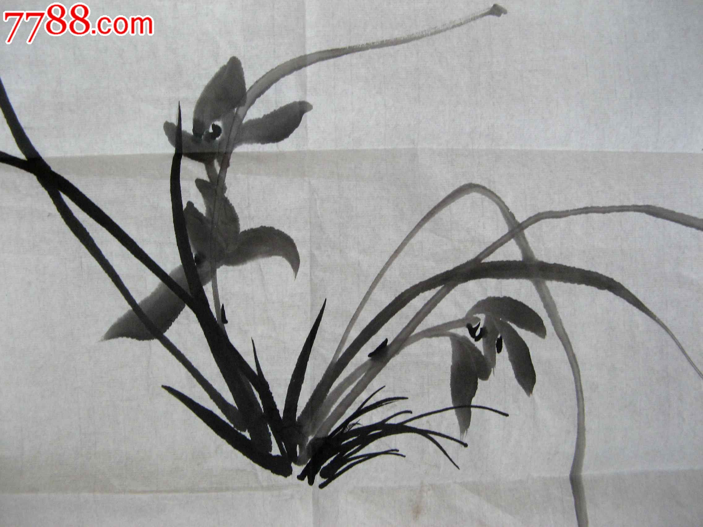 四尺开三条幅无款水墨兰花画:兰香