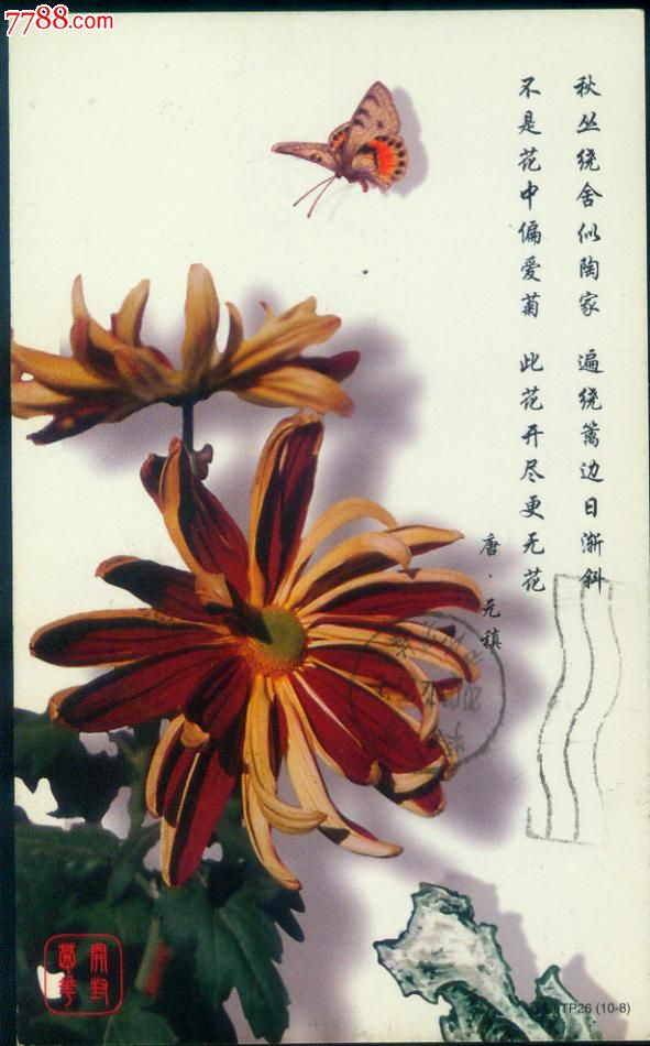 1999年--蝴蝶--开封菊花--唐代.元稹--诗词--普资加印明信片