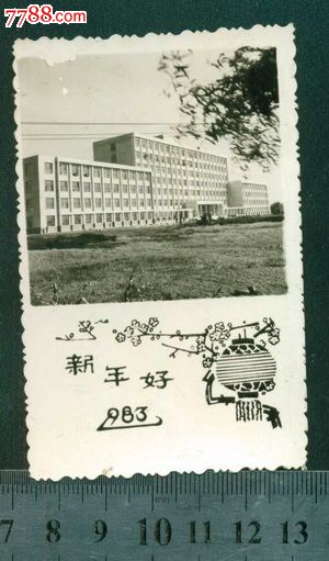 沈阳农学院,主楼刚竣工,1983-se24326379-老照片-零售