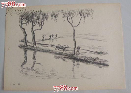 铅笔画帖【1963年印静物、人物、风景、动物,32幅全】