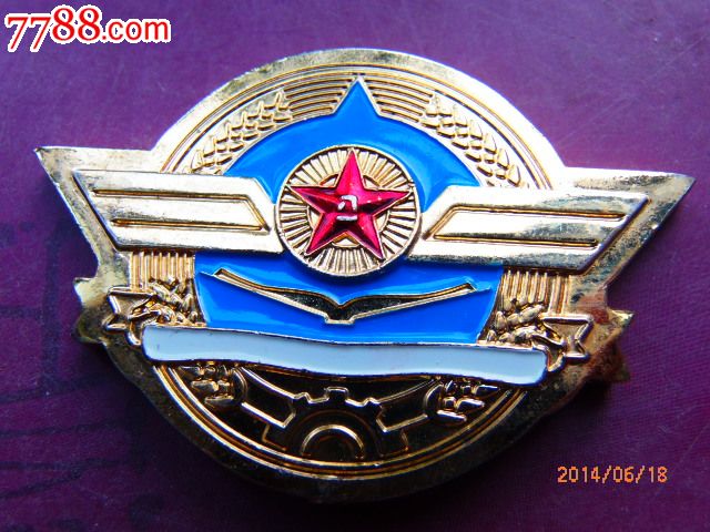 空军大铜章【徽章大世界】_第1张_7788收藏__中国收藏热线