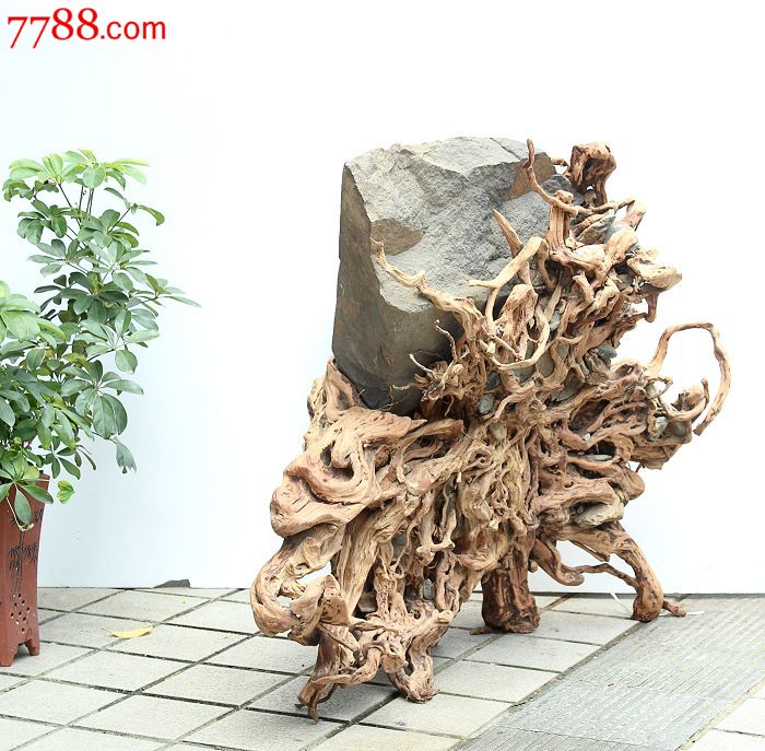 宜居品阁/天然根雕奇石/杜鹃根根抱石根艺自然摆件富贵花开yw613