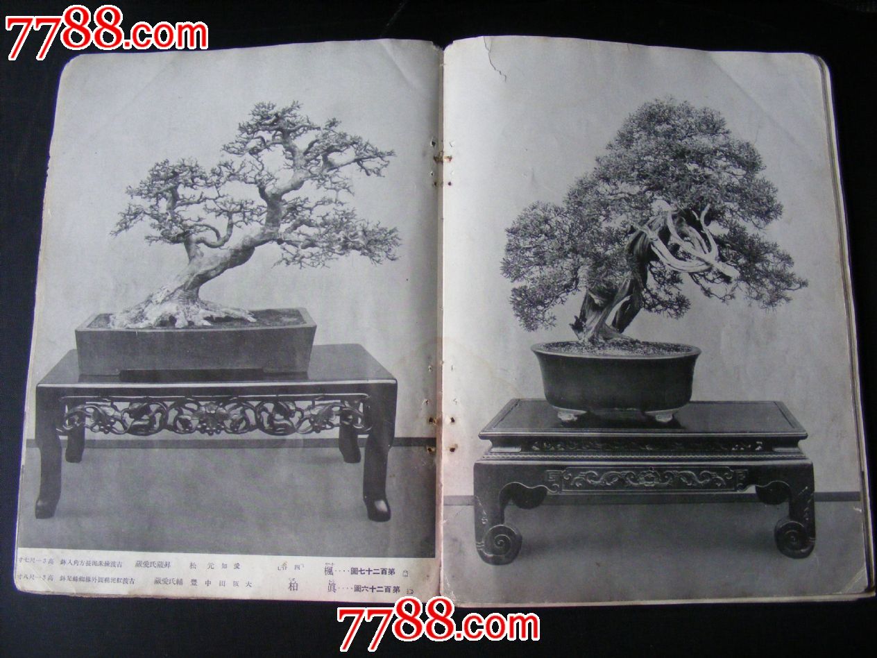 满洲国时期的日本盆景图录-价格:1000元-se24