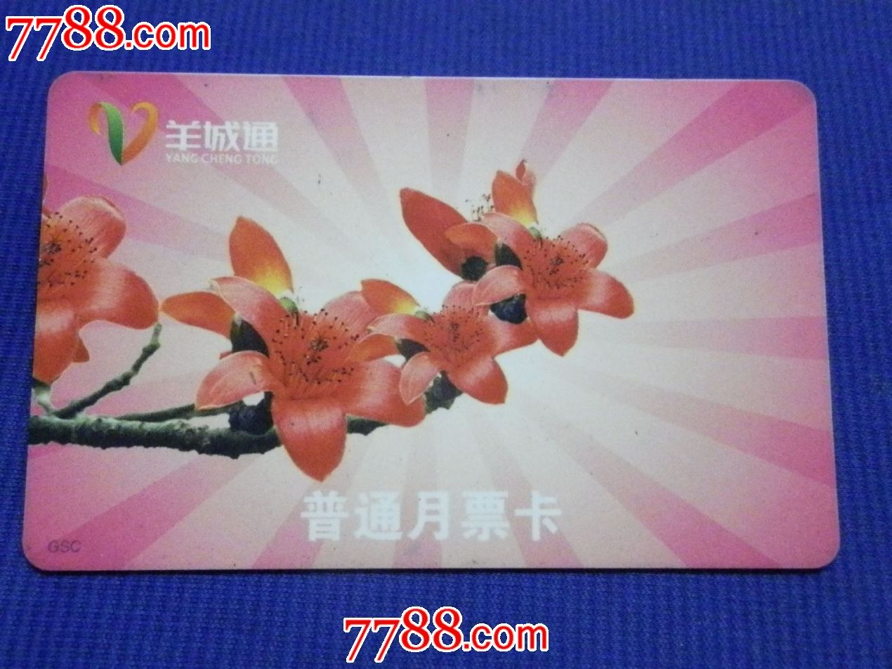 广州市羊城通-普通月票卡