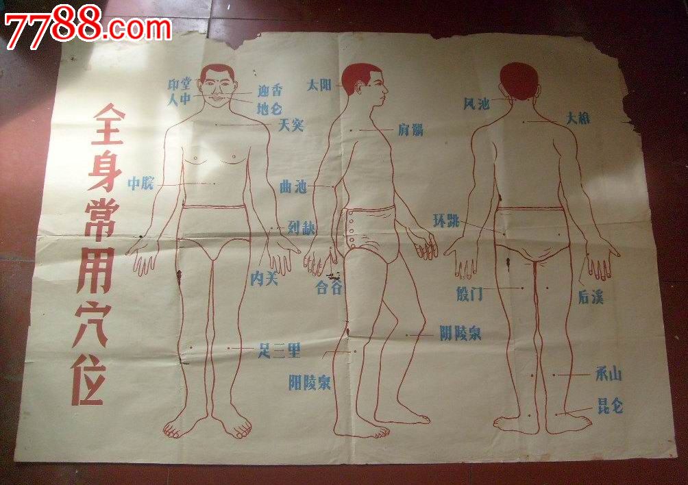 50年代《全身常用穴位》图两张(全开)