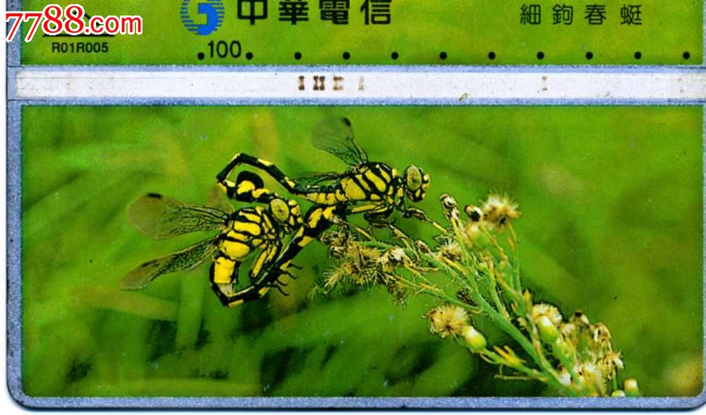 台湾电话卡,通话卡,ic卡,磁卡—中华电信—动物,昆虫-蜻蜓—细