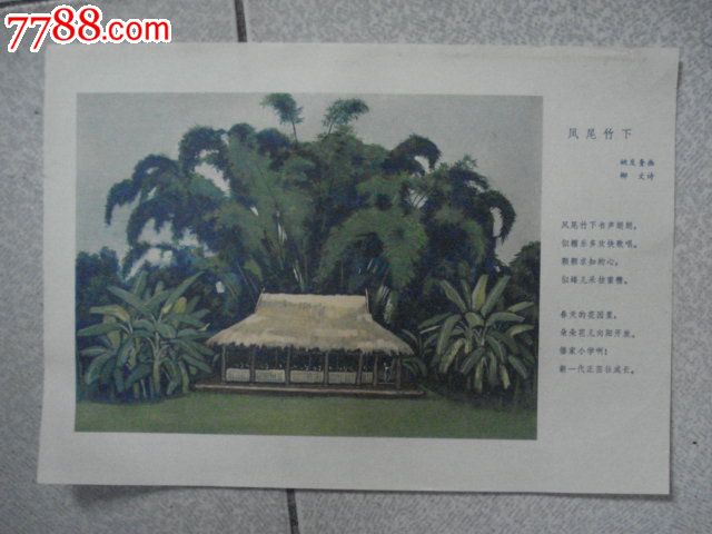 凤尾竹下-姚发奎画
