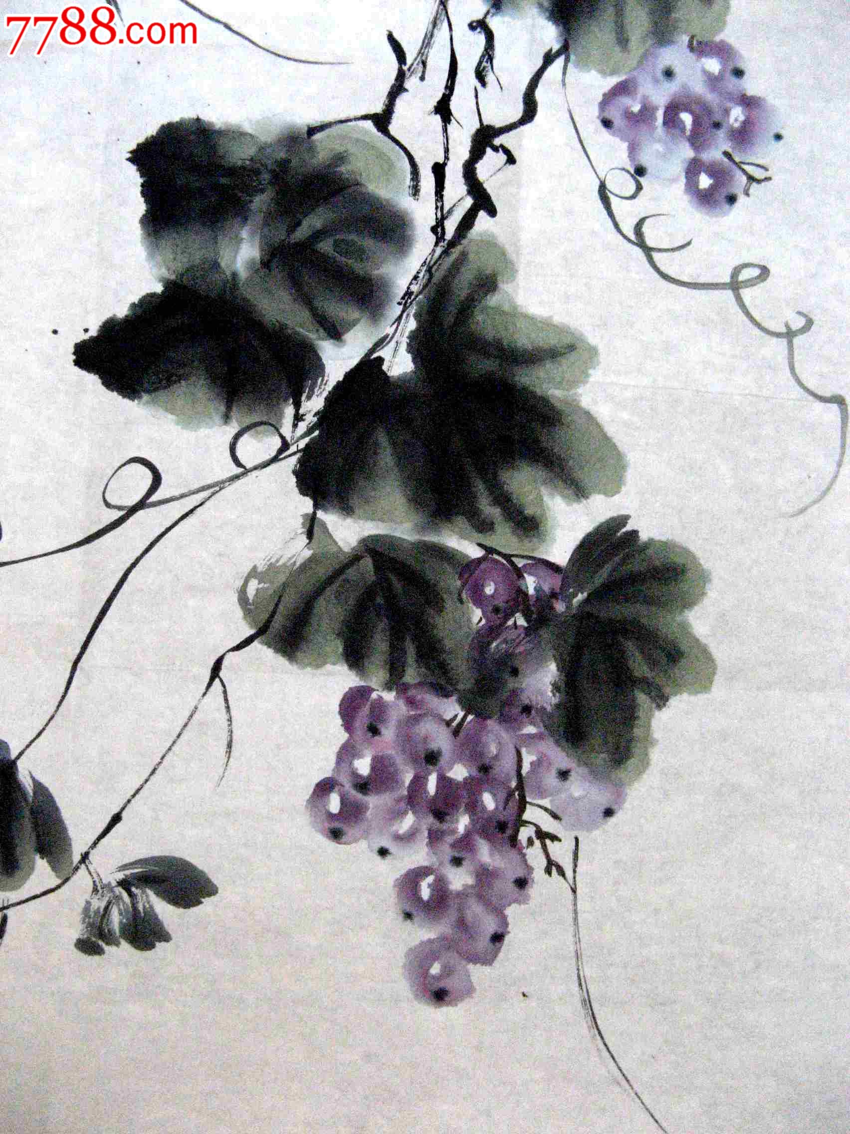 清雅脱俗的三尺条幅无款葡萄画:秋熟图