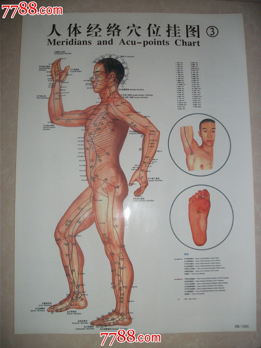 人体穴位图表【7张一套】