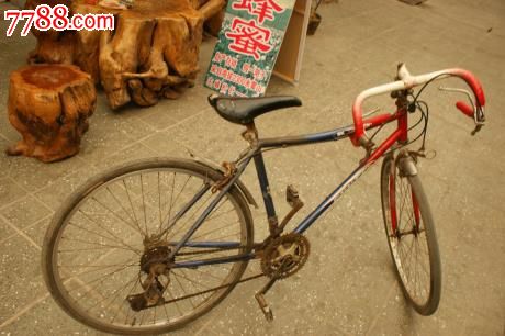 公路自行车(细胎)