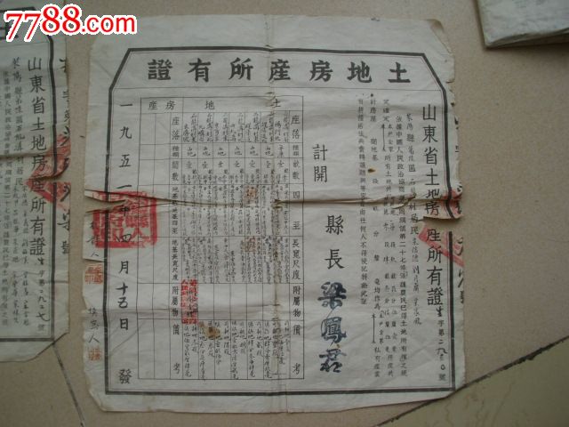 1951年山东省土地房产所有证两份莱阳县老契纸50年代土地房产所有证包