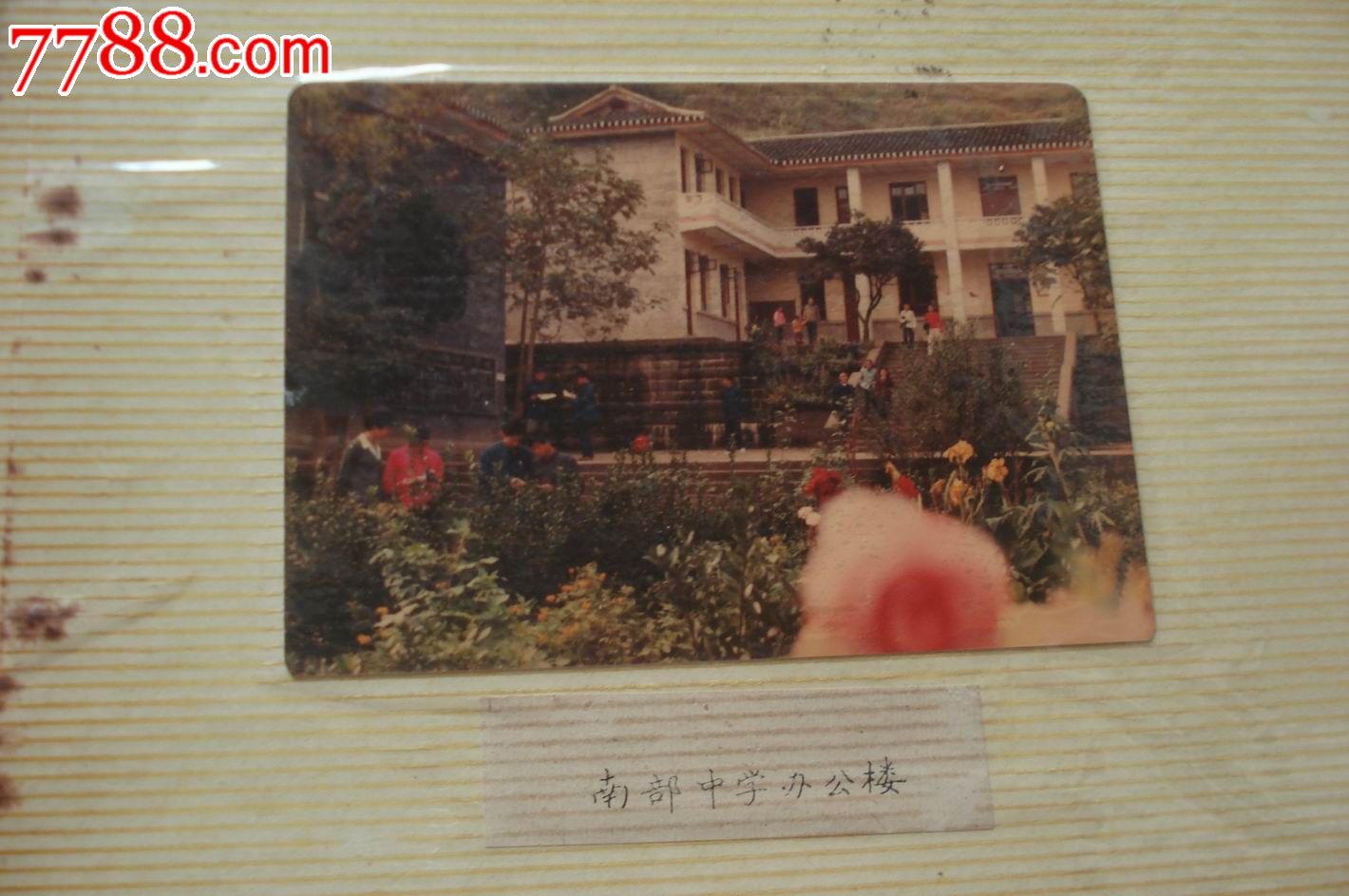 八十年代南部县照片集-se25369130-老照片-零售-7788收藏__中国收藏