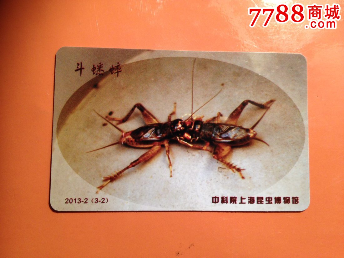 中科院上海昆虫博物馆宣传卡2013-2蟋蟀-门票