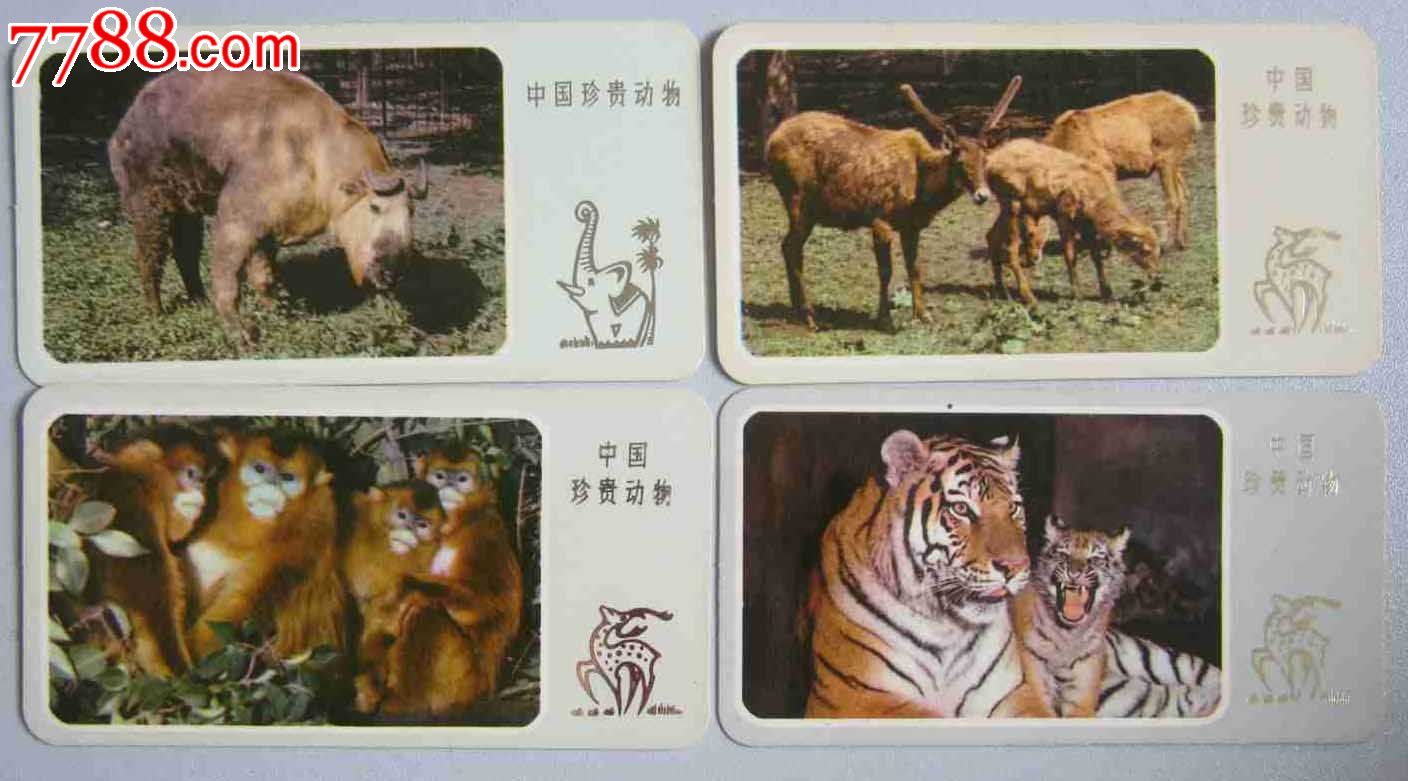 中国珍贵动物(一套共24张)