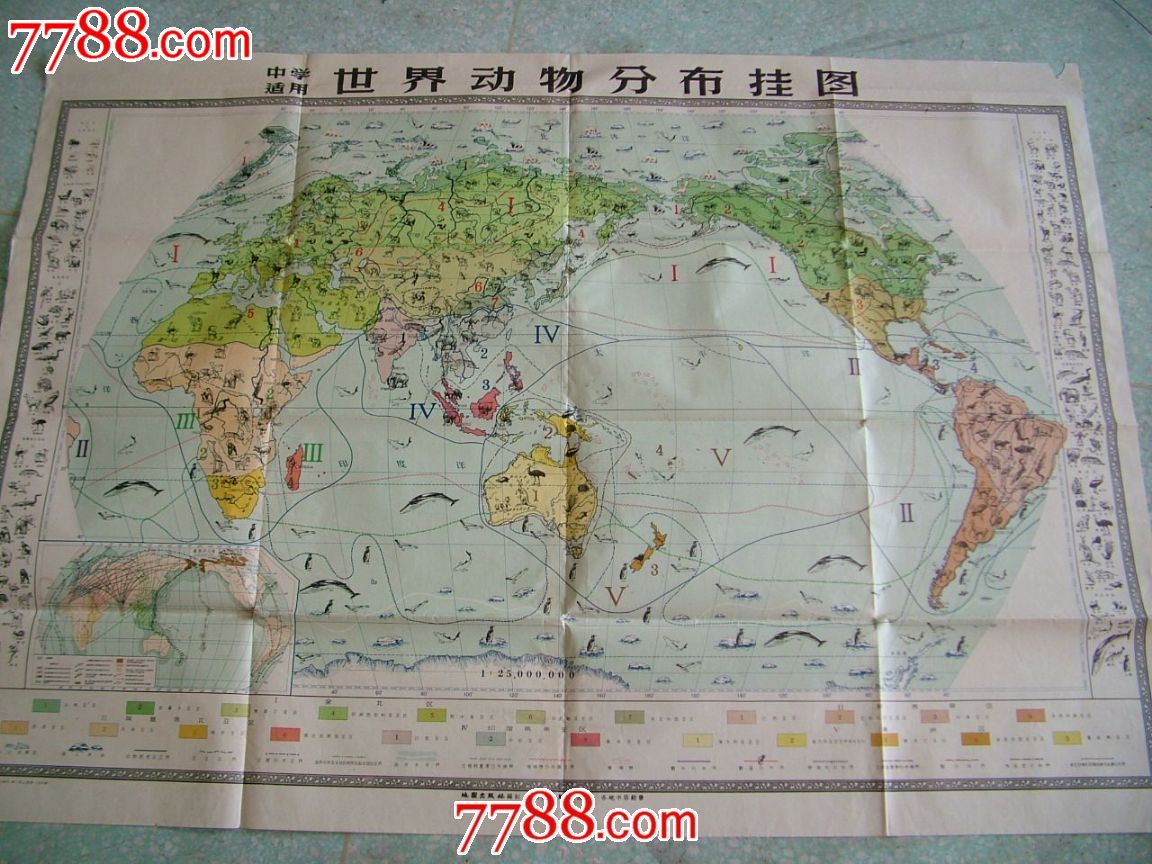 世界动物分布挂图